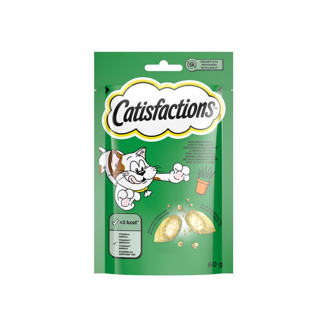 CATISFACTIONS ΣΝΑΚ ΓΑΤΑΣ ΓΕΥΣΗ ΦΥΤΟ CATNIP 60ΓΡ